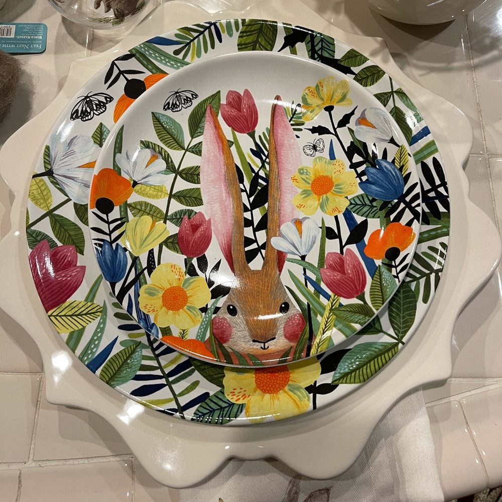 Set of 2 Mod bunny Rabbit Dinner & Dessert Floral Garden Easter Plate